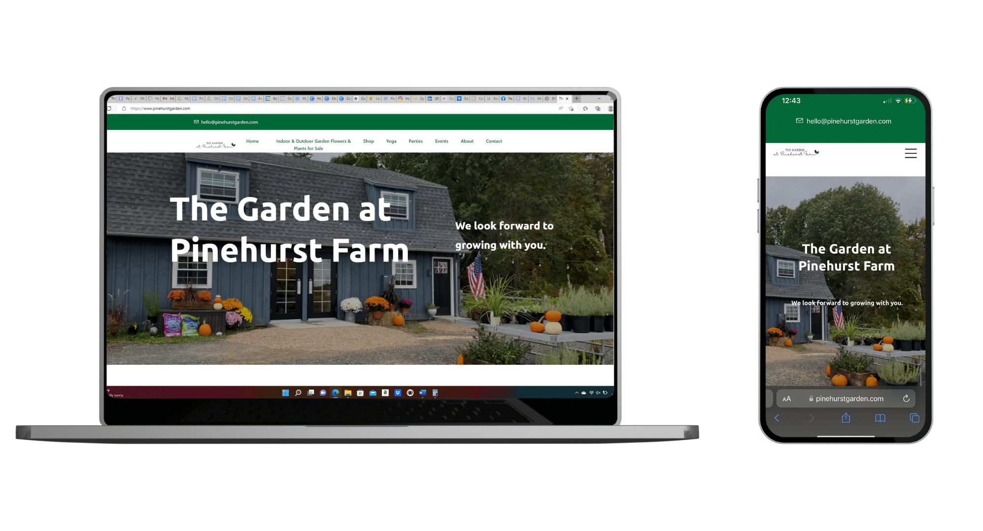 Website design CT (2)
