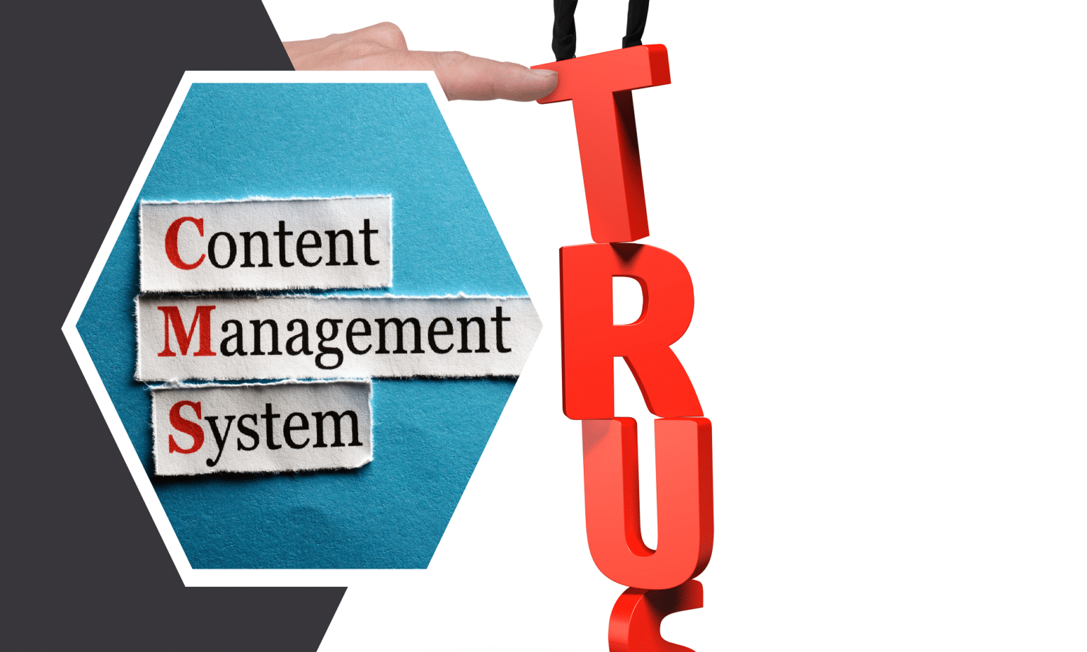 The Top 10 2023 Content Management Tools High Point SEO & Marketing