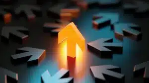 Online Reputation Management
