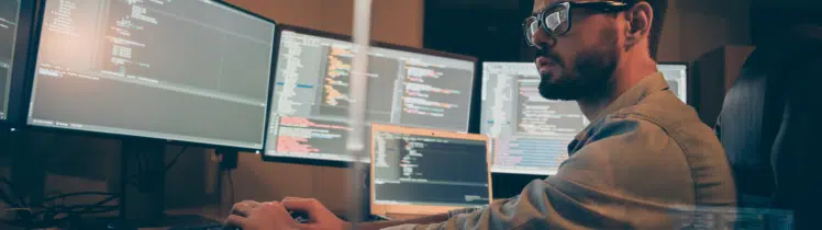 Java and Python