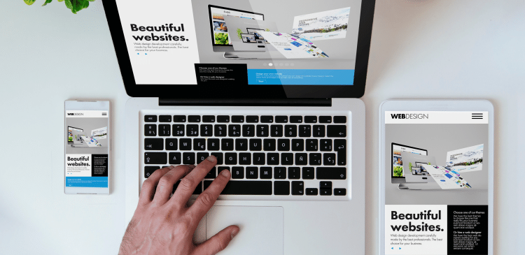 Web Designer