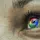 Google Ranking