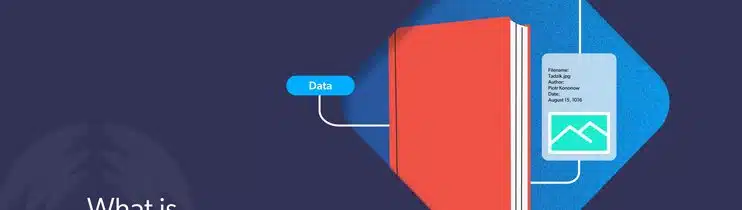 Meta Data in SEO