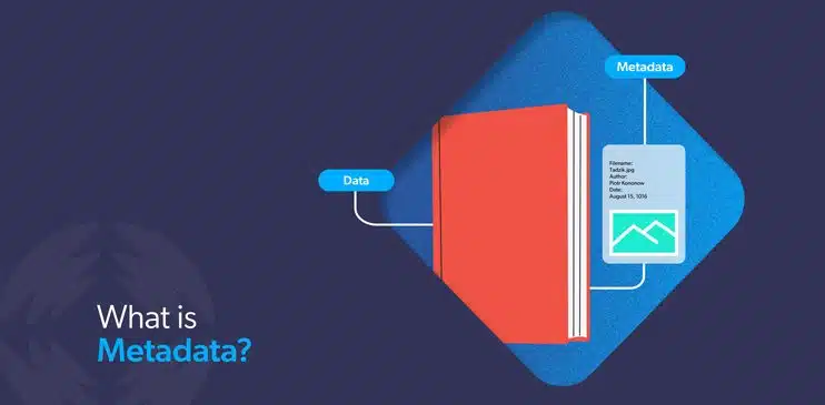 Meta Data in SEO