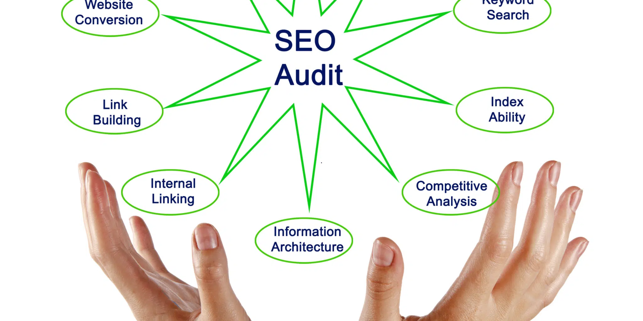 Free SEO Audits