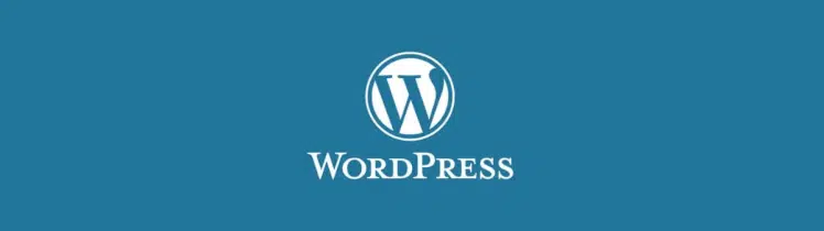 How Do You Remove a Theme in WordPress