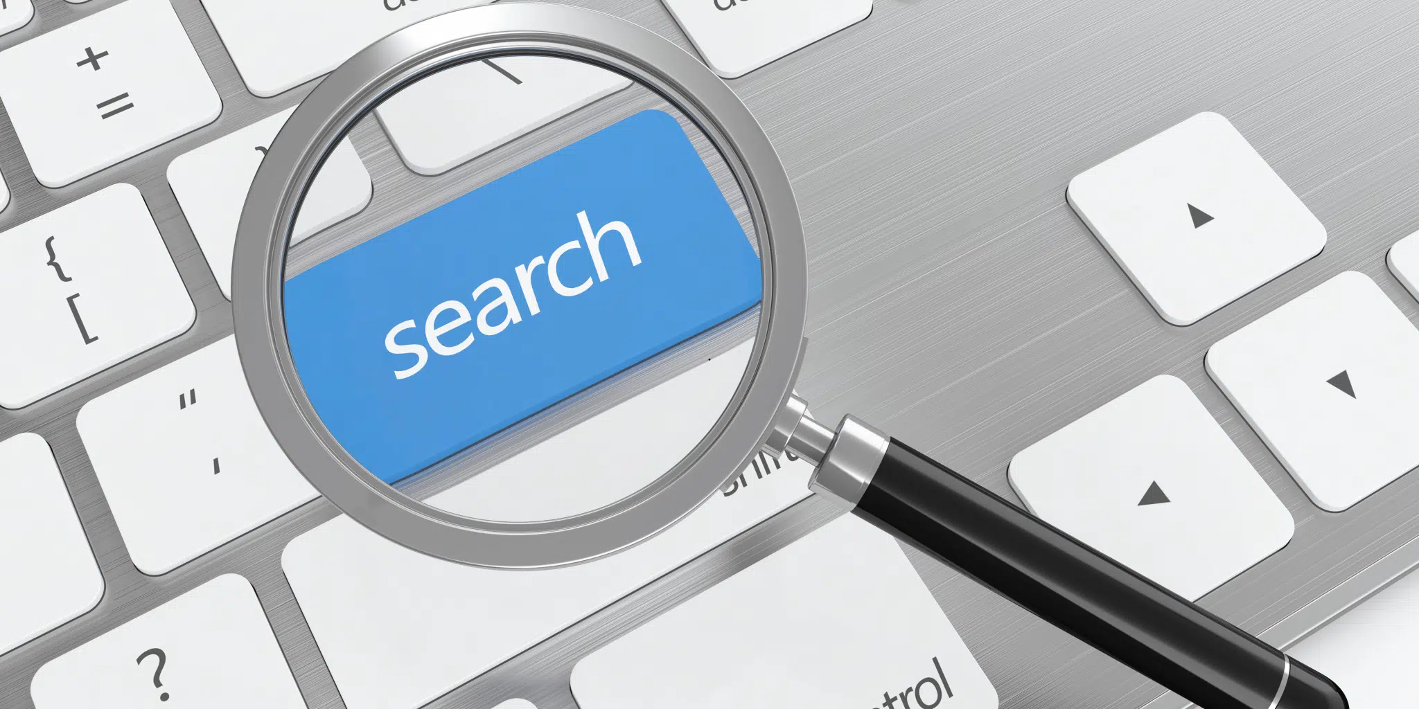 Search Engine Rankings