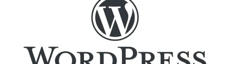 What Is the Latest Version of WordPress