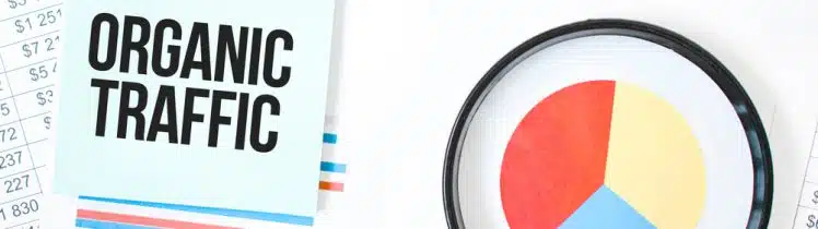 Organic Traffic Important