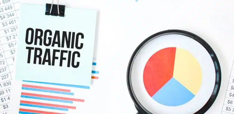 Organic Traffic Important