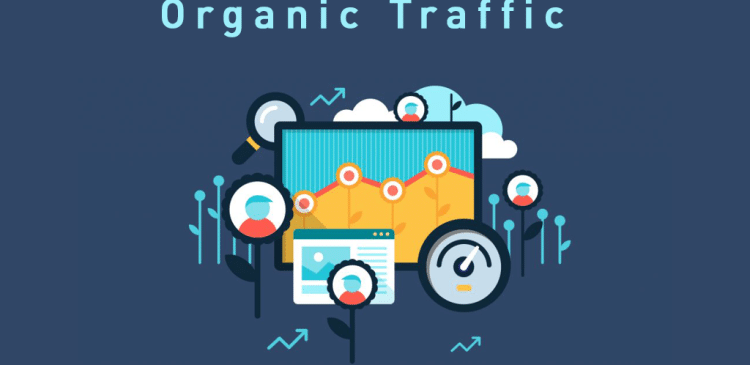 Organic Web Traffic