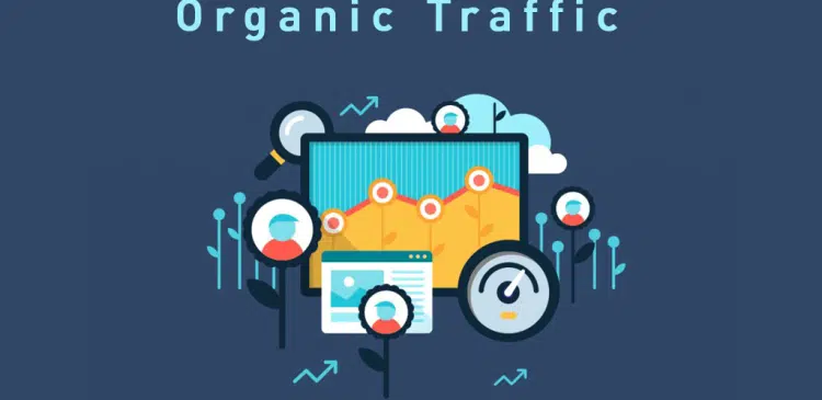Organic Web Traffic