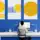 Search Engine Rankings